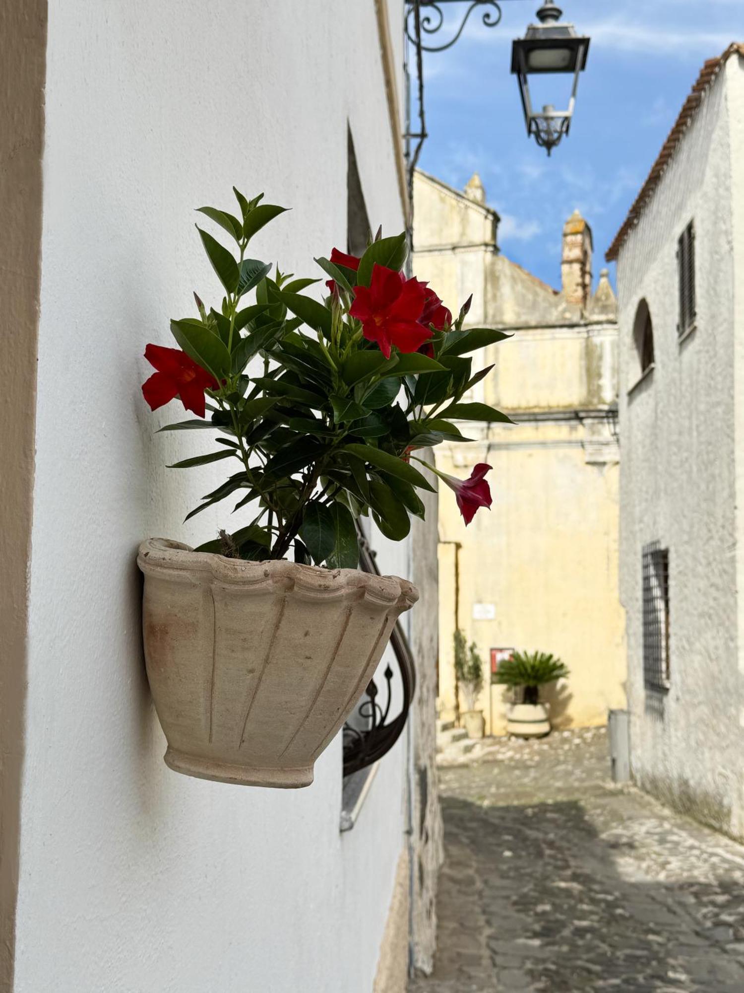 Casa Lia - Independent Apartment In The Gulf Of Orosei Galtelli Luaran gambar